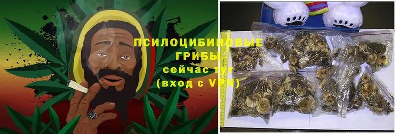 Псилоцибиновые грибы GOLDEN TEACHER  Покачи 